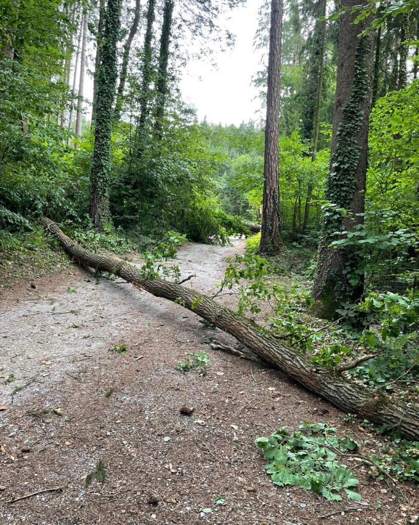 18.08.2022 Unwettereinsatz6